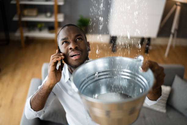 Best Sewage cleanup and water damage restoration  in Warm Springs, CA