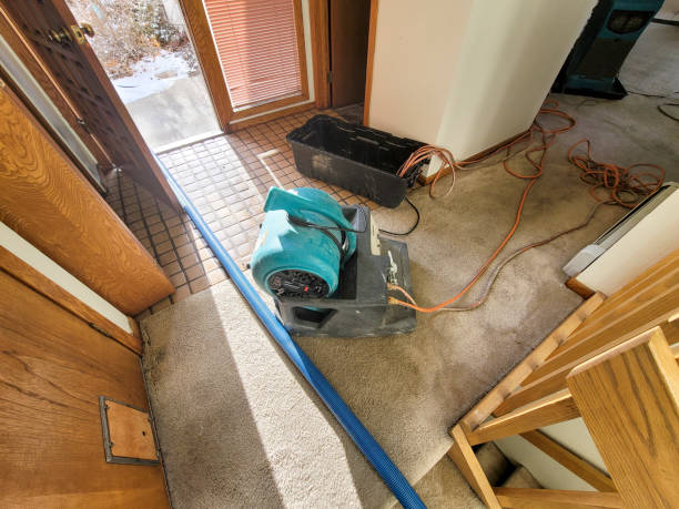 Best Flooded house restoration  in Warm Springs, CA