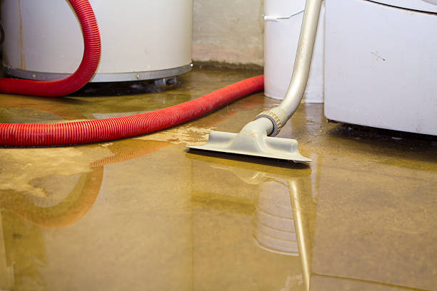 Best Basement water damage restoration  in Warm Springs, CA
