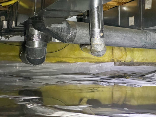 Best Water damage cleanup near me  in Warm Springs, CA